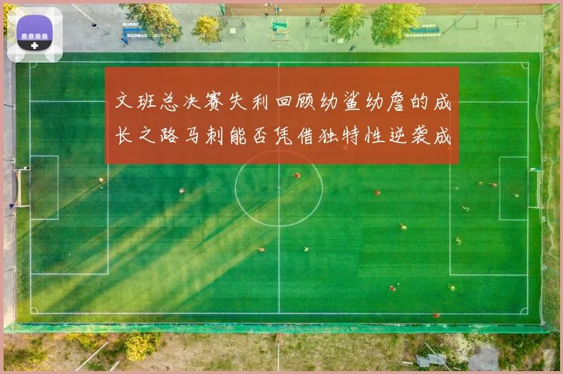 文班总决赛失利回顾幼鲨幼詹的成长之路马刺能否凭借独特性逆袭成功